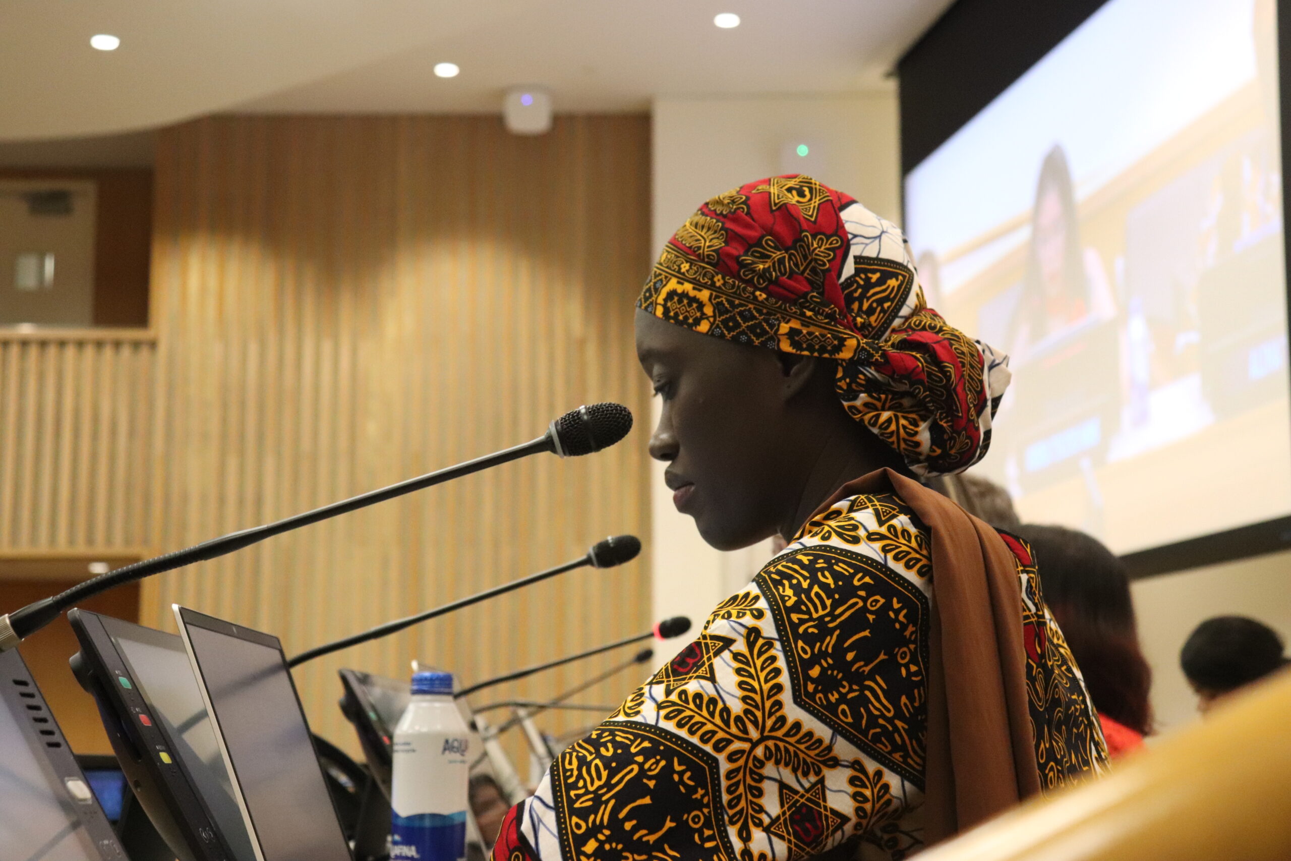 Constitutional Reform Under Pressure: the double reality of enabling environment in Africa